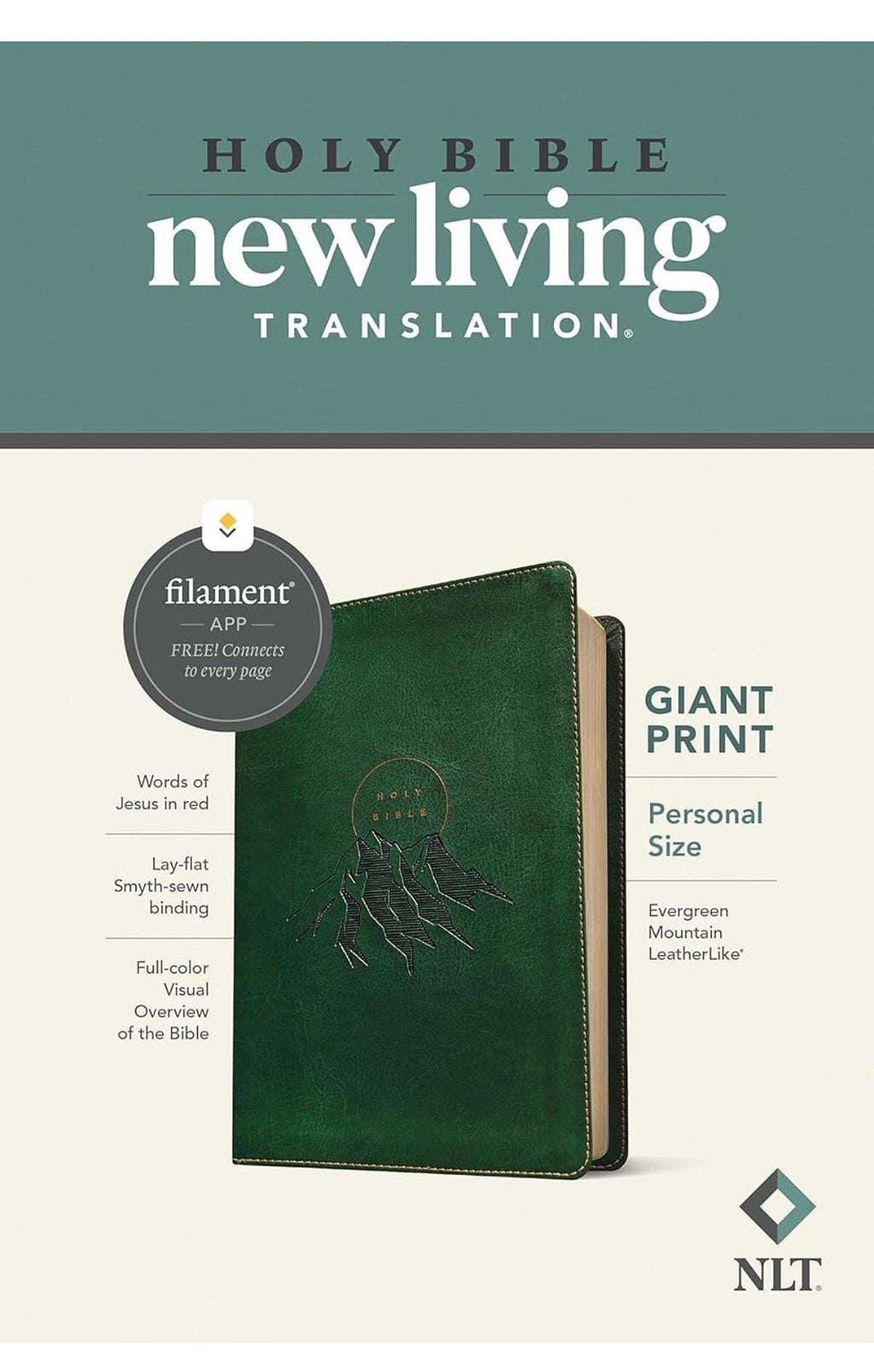 Personalized NLT Giant Print Bible - Filament, 12pt, Red Letter