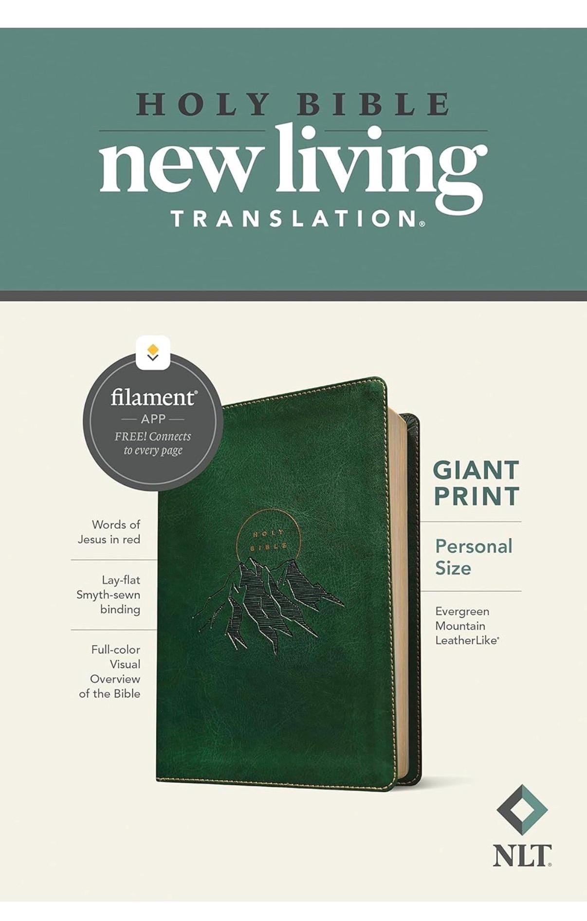 Personalized NLT Giant Print Bible - Filament, 12pt, Red Letter
