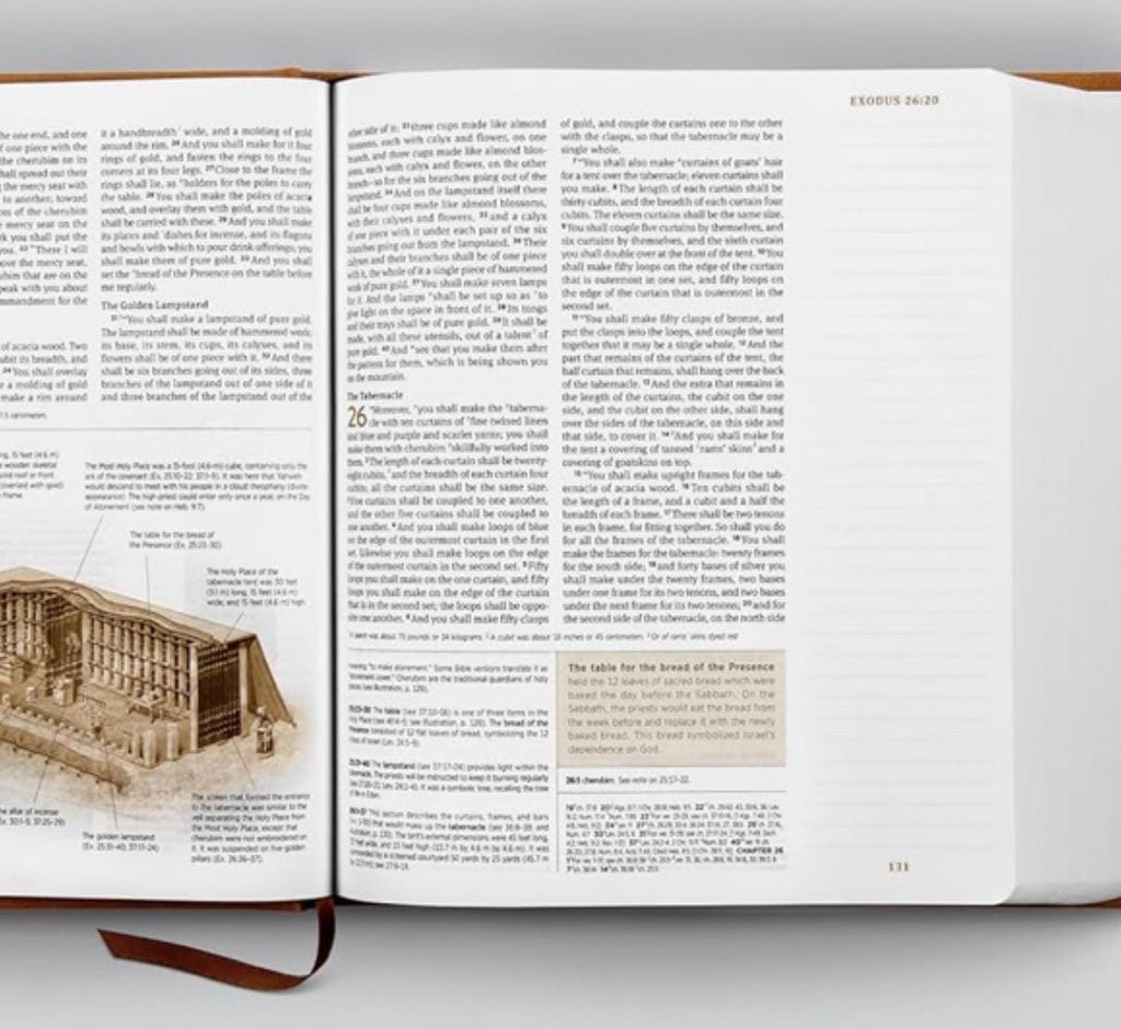 Biblia de estudio para diario ESV personalizada, tapa TruTone de nobuk caramelo