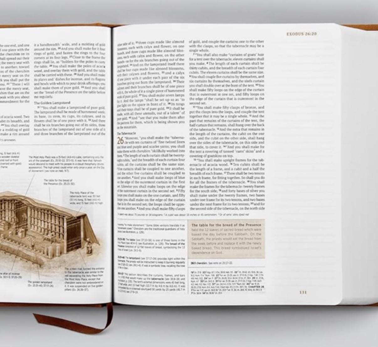 Personalized ESV Journaling Study Bible, Nubuck Caramel TruTone Cover