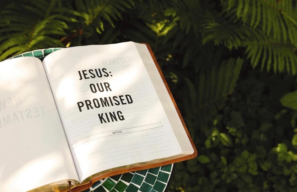 Personalized Jesus Bible ESV Edition - Stone LeatherSoft, Journaling