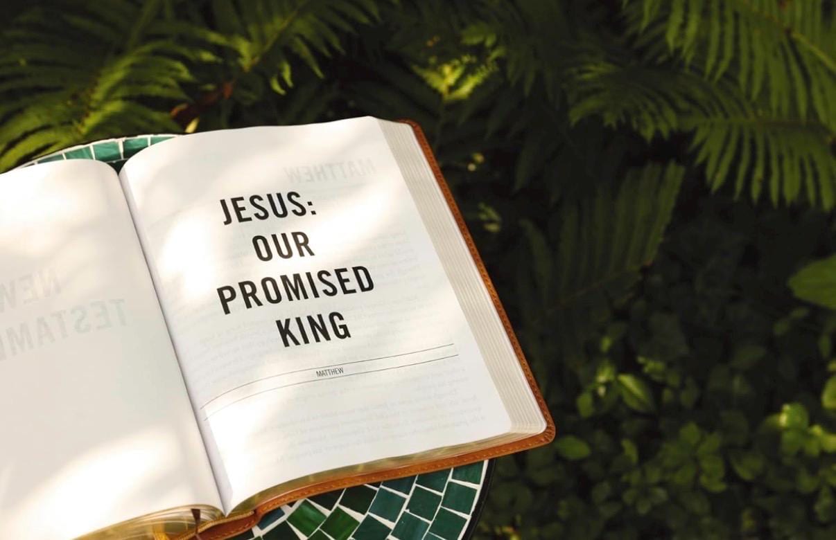 Personalized Jesus Bible ESV Edition - Stone LeatherSoft, Journaling