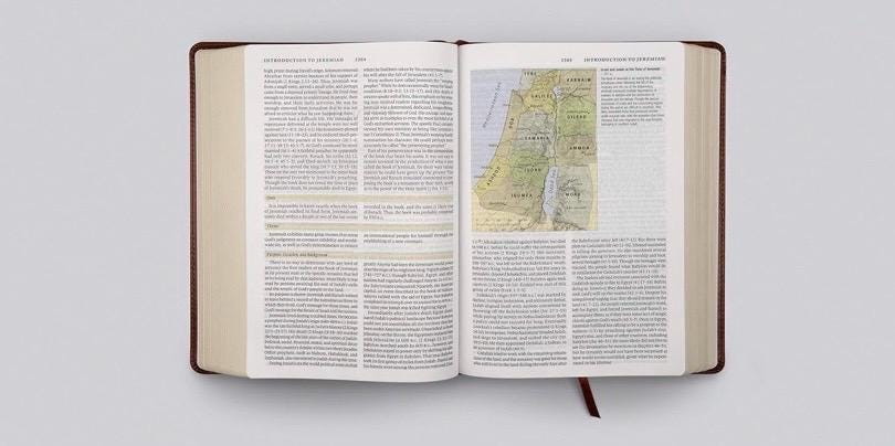 ESV Study Celtic Bible