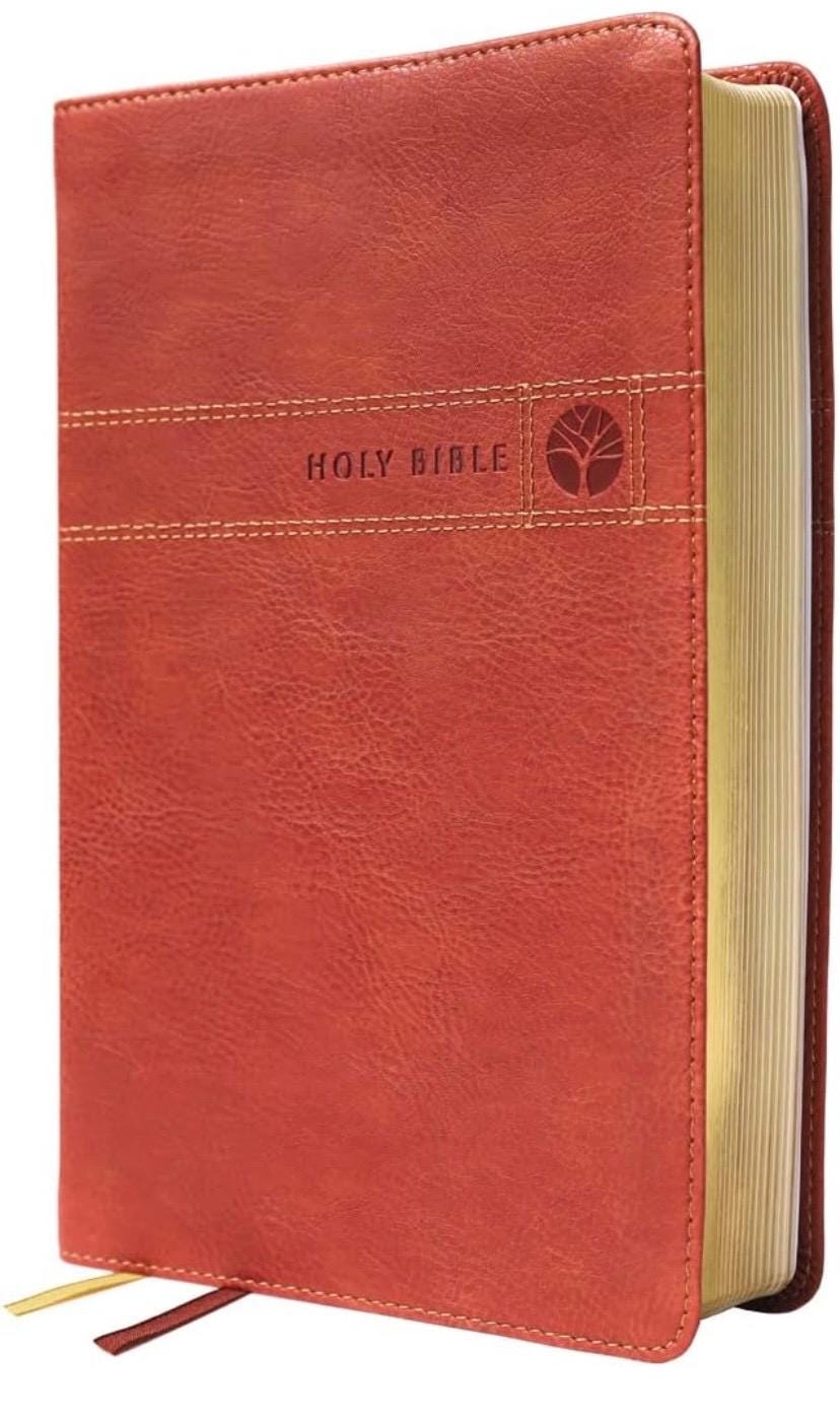 Men Devotional Bible, Personalized Bible, Men Study Bible
