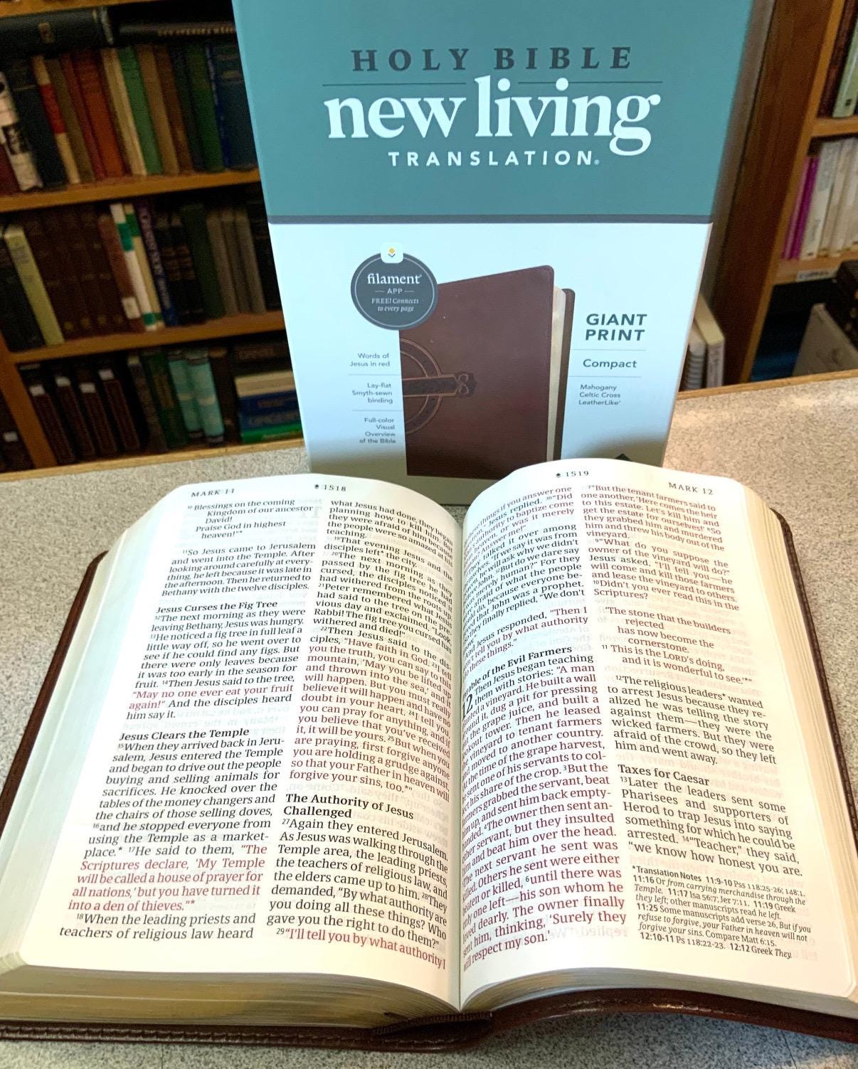 Giant Print New Living Translation Bible