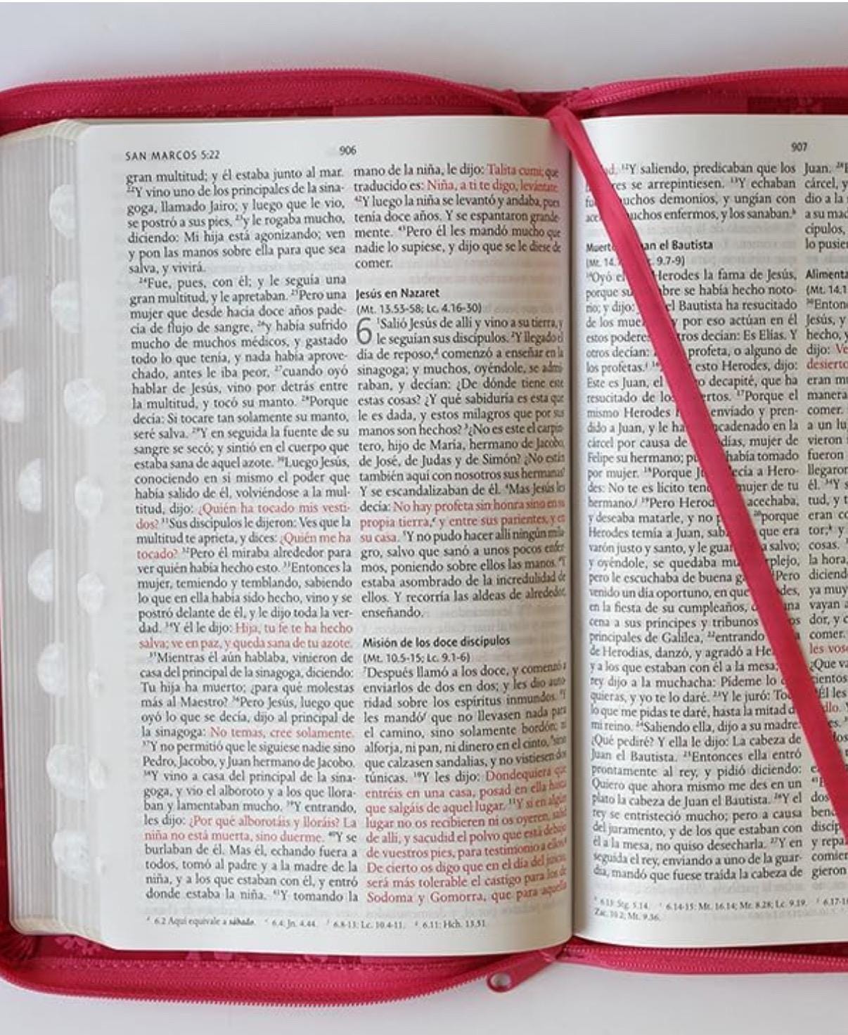 Personalized Biblia Reina Valera 1960 letra grande. Símil piel fucsia, cremallera, índice, manual / Spanish Bible RVR 1960. Handy Size, Larg