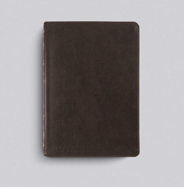 Personalized ESV Women's Study Bible: Deep Brown TruTone Cover
