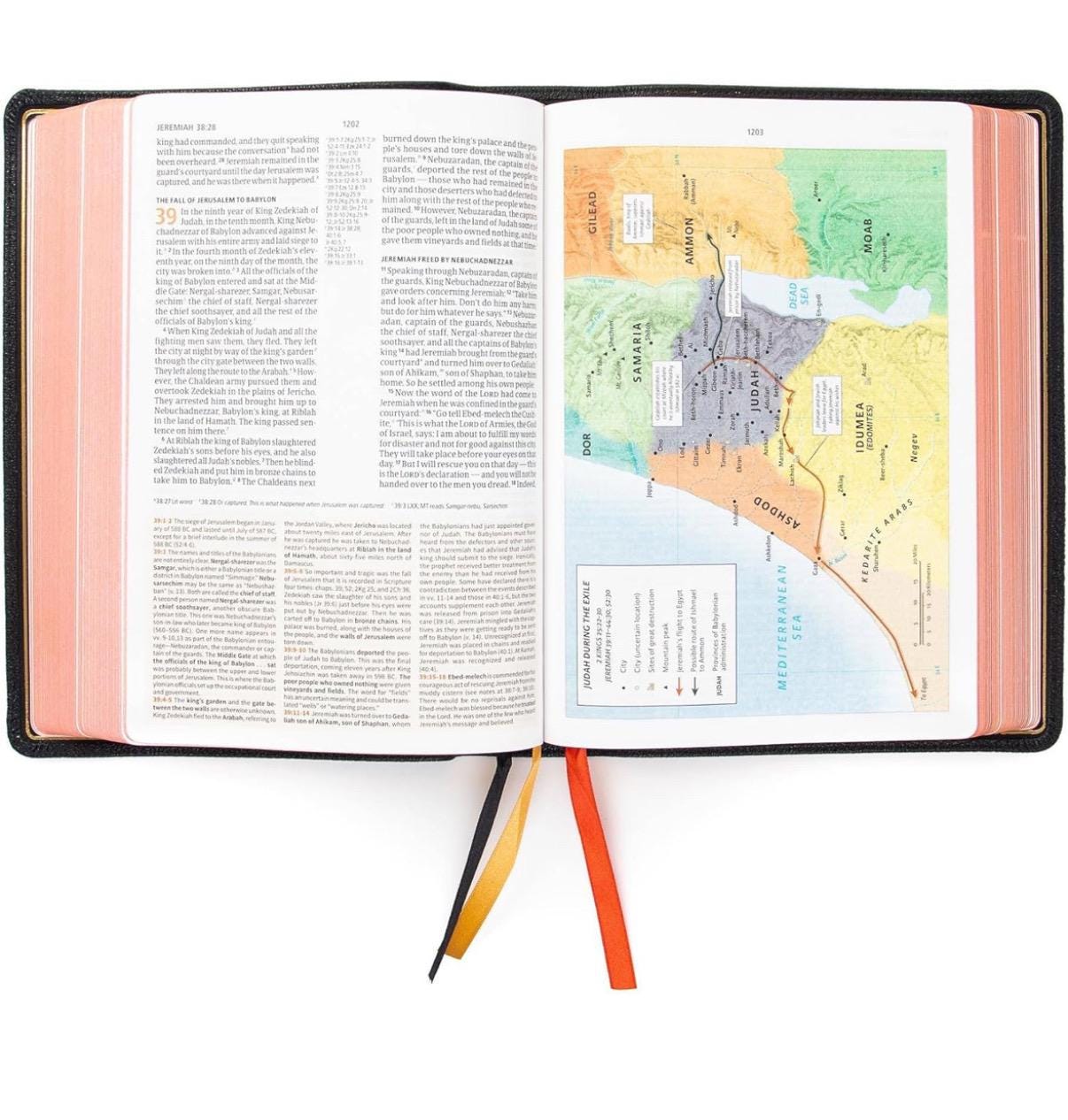 Goat Skin Bible, CSB Study Bible, Holman Handcrafted Collection, Black Premium Goatskin, Red Letter, Study Notes and Commentary