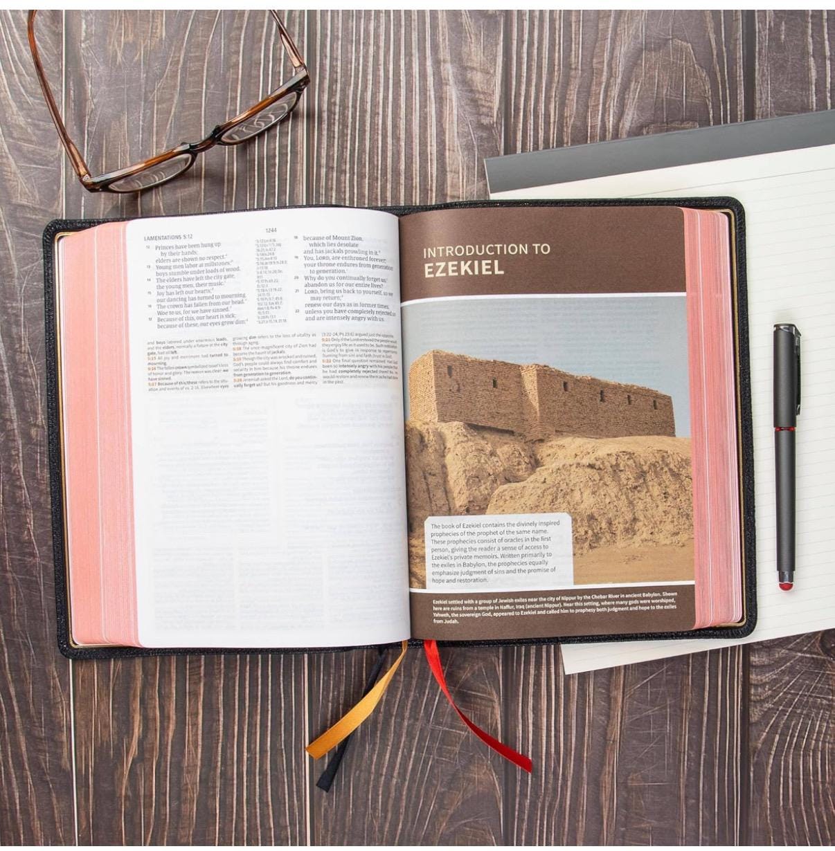 Goat Skin Bible, CSB Study Bible, Holman Handcrafted Collection, Black Premium Goatskin, Red Letter, Study Notes and Commentary