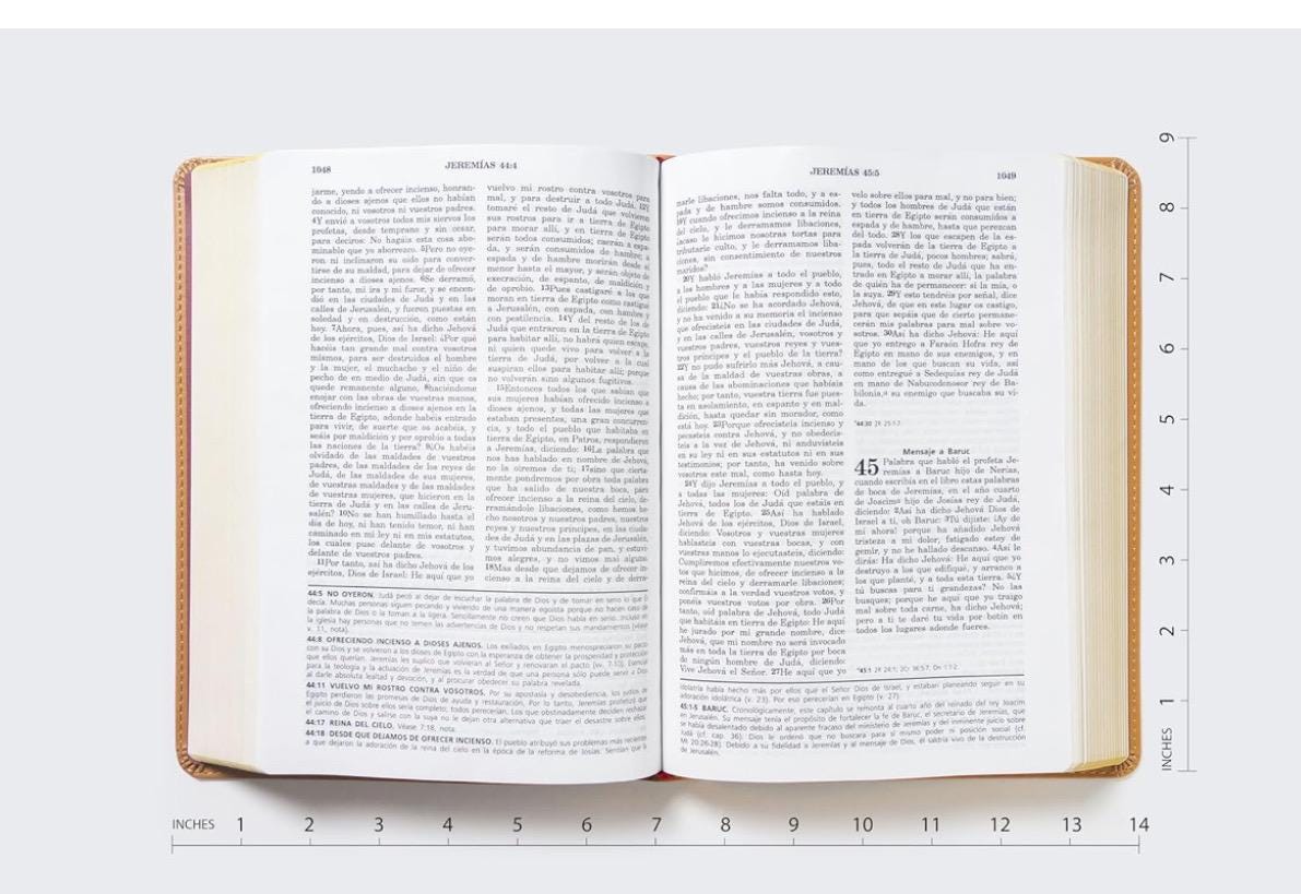Spanish Study Bible, RVR60, Rojo-Beige Leathersoft Edition