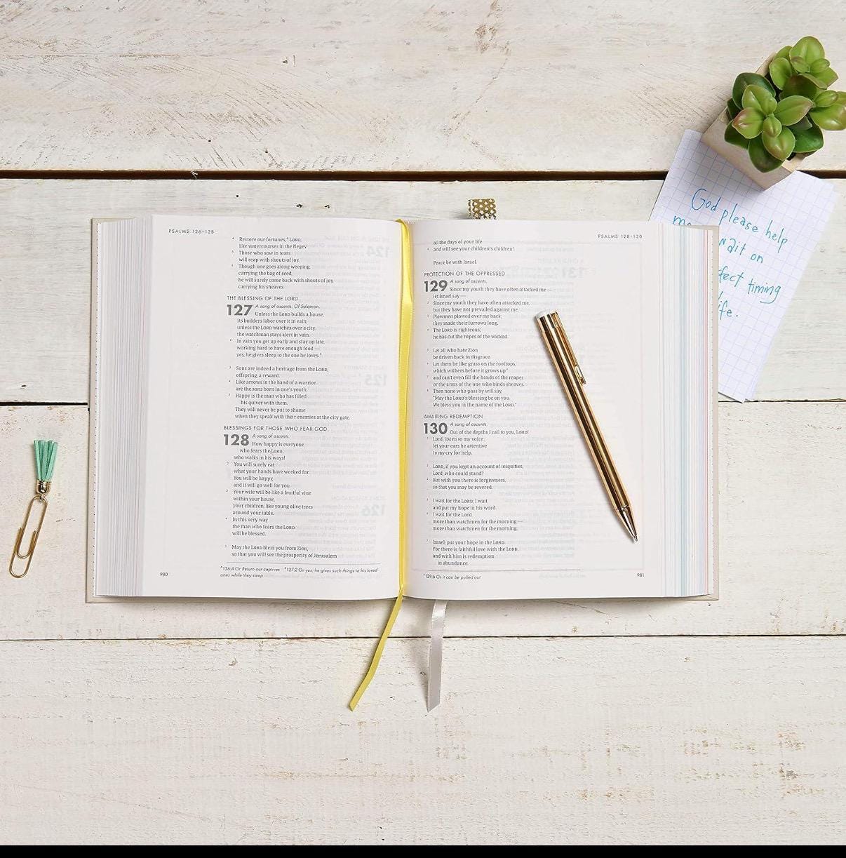 CSB She Reads Truth Bible, Cream Hardcover, Personalized Engraving