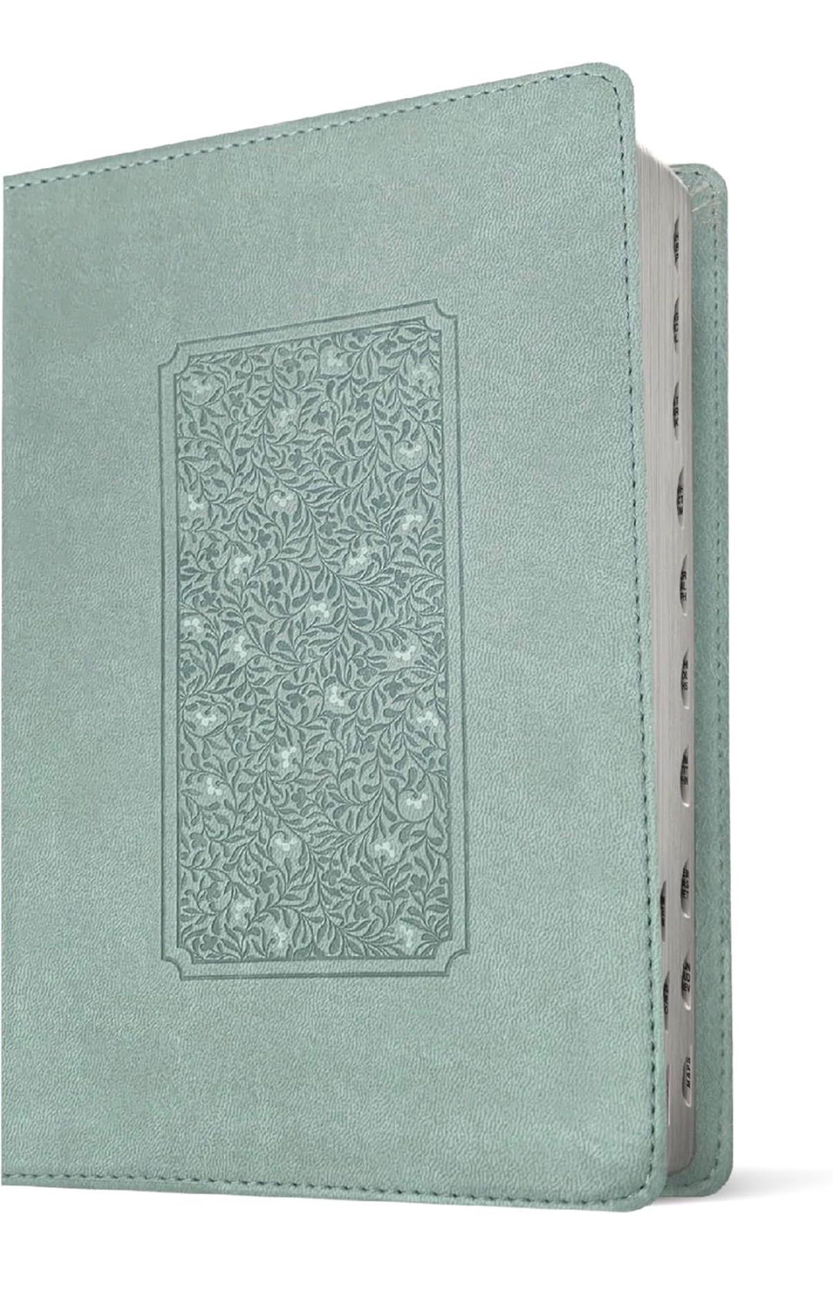 Personalized NLT giant print , red letter , thumb index Bible