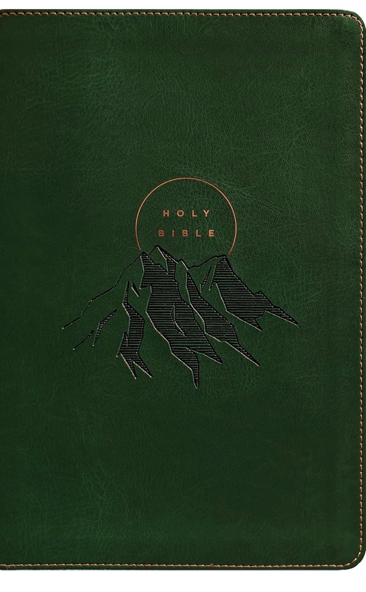 Personalized NLT Giant print red letter bible