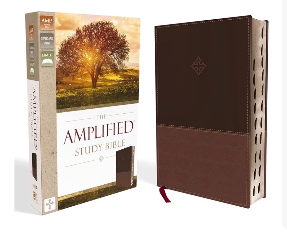 Personalized Amplified Thumb Index Bible