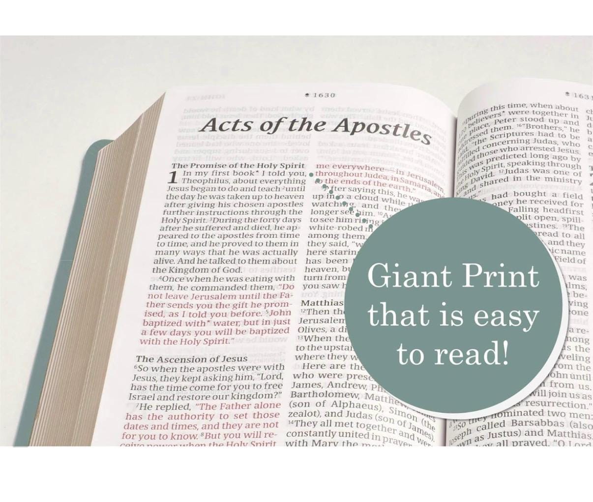 Personalized NLT giant print , red letter , thumb index Bible