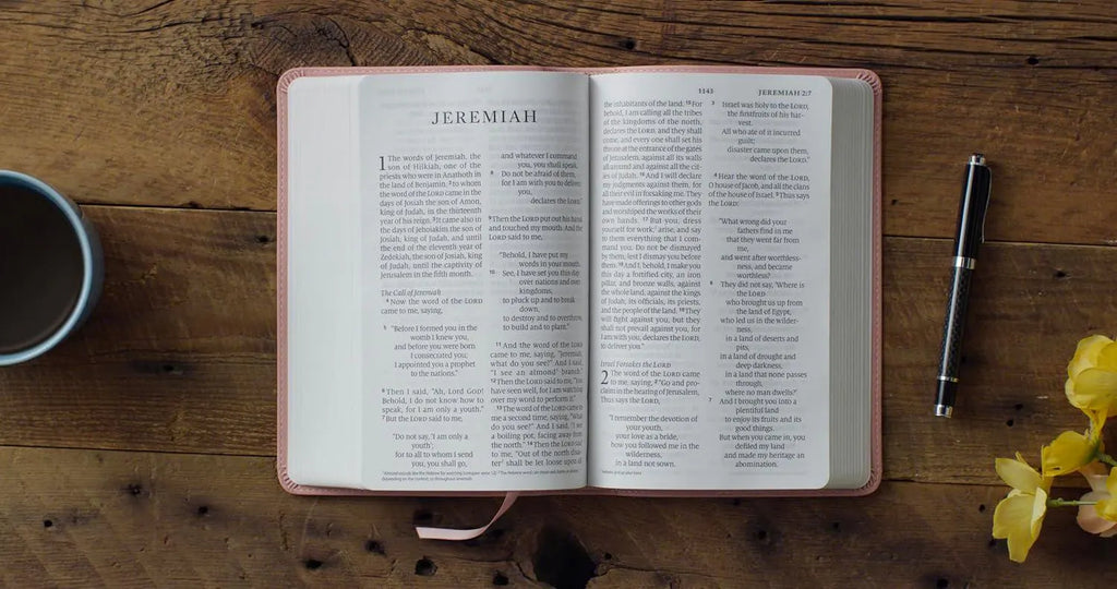 Biblia ESV de letra grande personalizada, tamaño personal, letra roja (TruTone, Rosa): Santa Biblia, English Standard Version 12pt