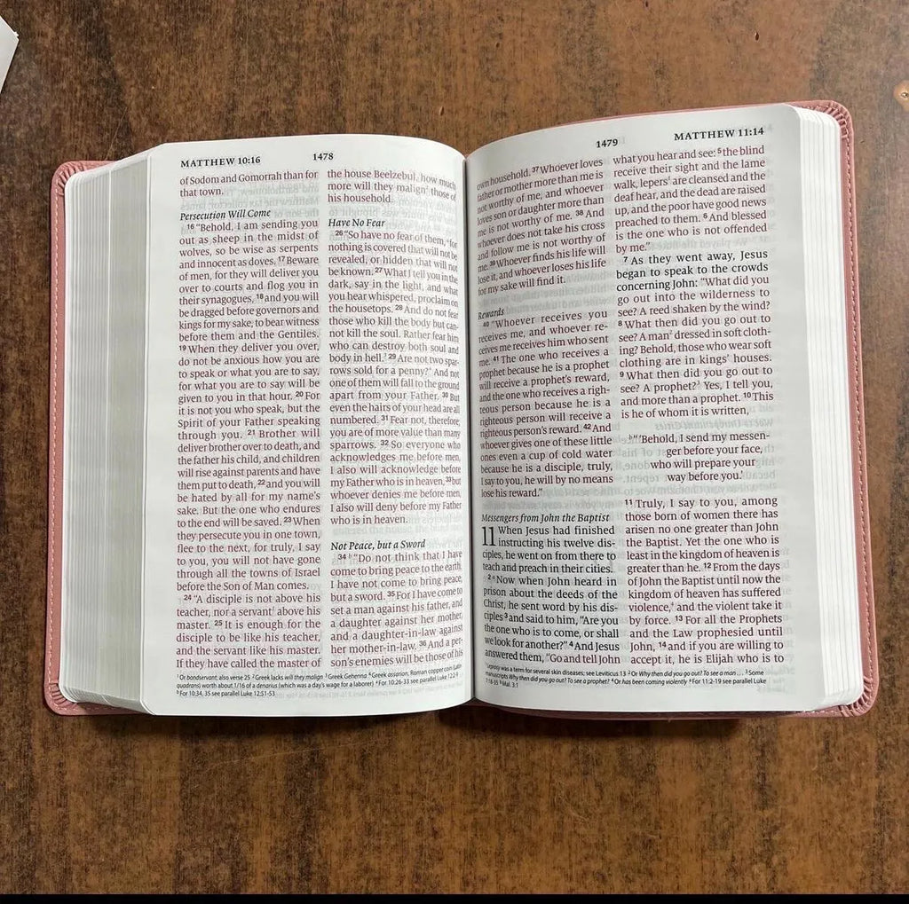 Biblia ESV de letra grande personalizada, tamaño personal, letra roja (TruTone, Rosa): Santa Biblia, English Standard Version 12pt